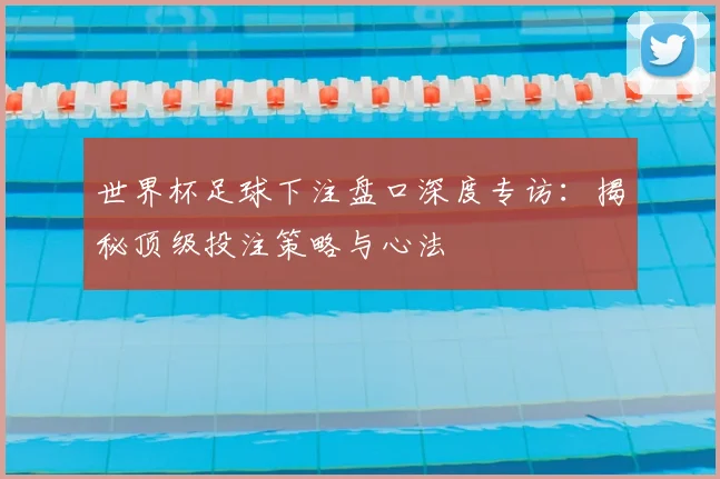 世界杯足球下注盘口深度专访：揭秘顶级投注策略与心法