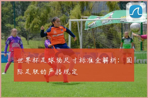 世界杯足球场尺寸标准全解析：国际足联的严格规定