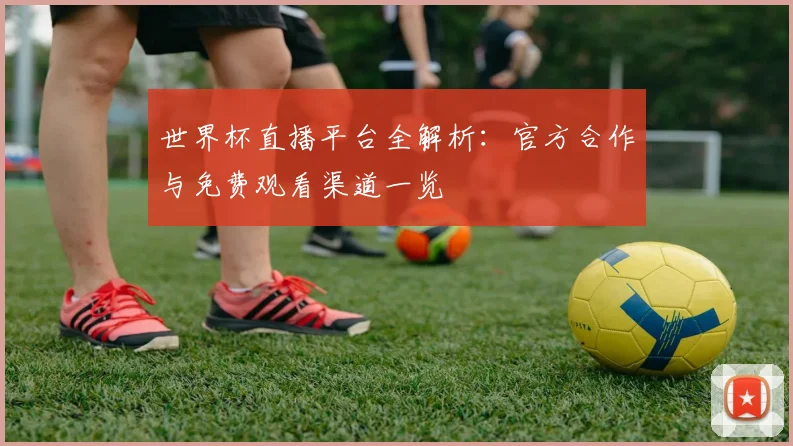 世界杯直播平台全解析：官方合作与免费观看渠道一览
