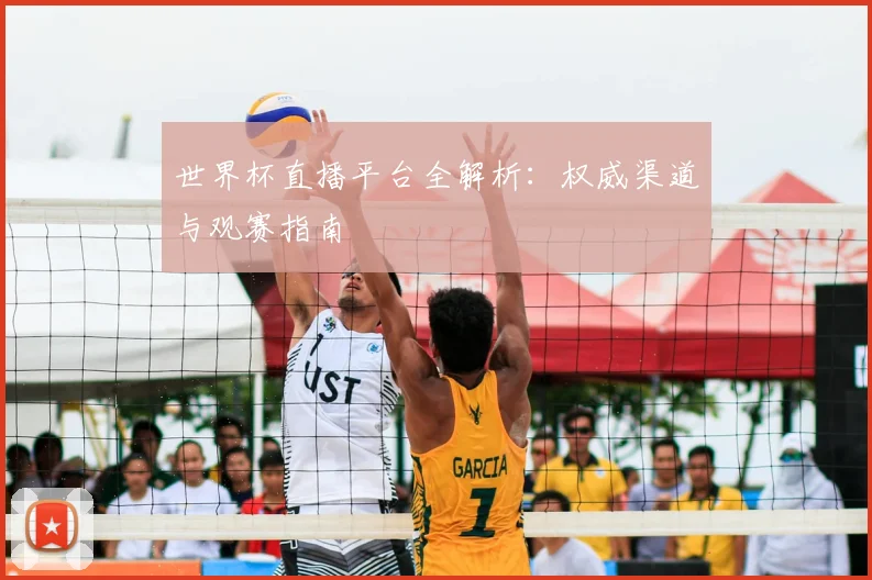 世界杯直播平台全解析：权威渠道与观赛指南