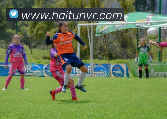 金年汇网页版登录入口发展历程